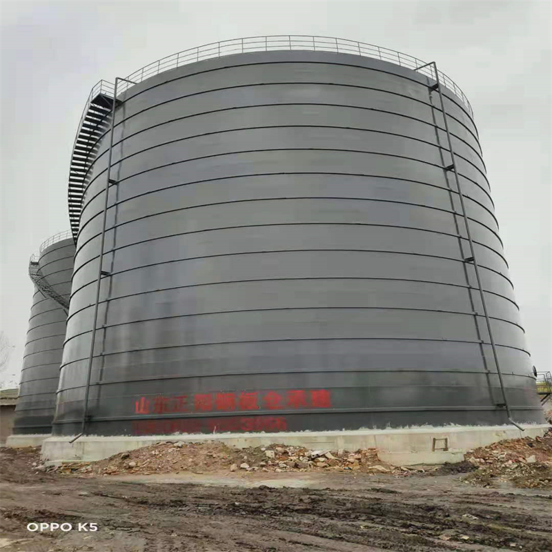 枣强3万吨大型钢板库