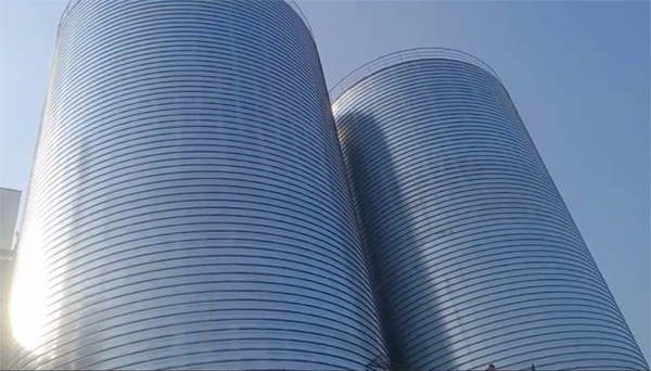 枣强2座混凝土高架卷板仓